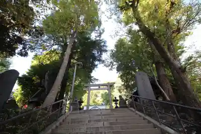 中野氷川神社(東京都)