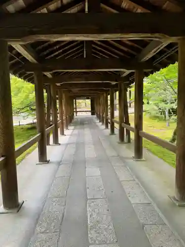 東福禅寺（東福寺）(京都府)
