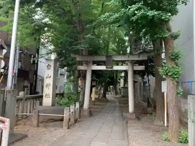 荻窪白山神社の鳥居