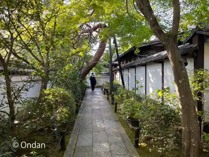 退蔵院(京都府)