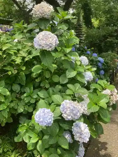 妙楽寺(神奈川県)