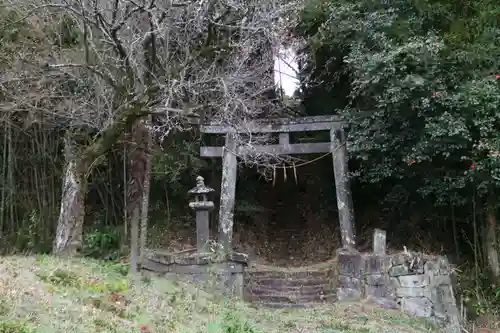 浅草神社の鳥居