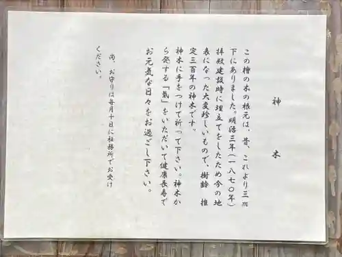 琴平神社(埼玉県)