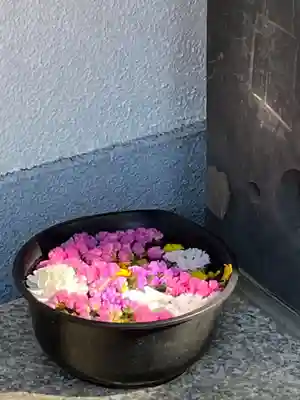 普門院(埼玉県)