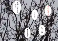 留辺蘂神社の動物