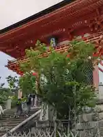 清水寺(京都府)