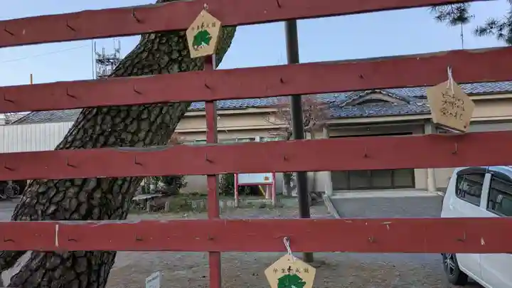 青梅神社の絵馬