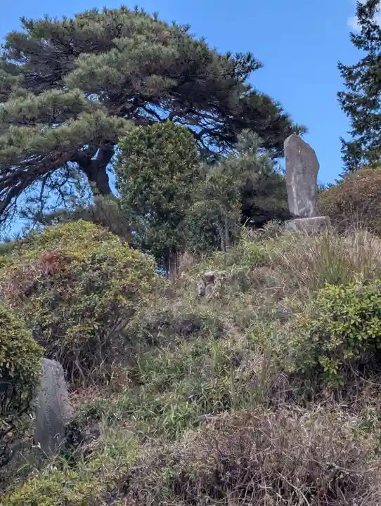 下新倉氷川八幡神社(埼玉県)