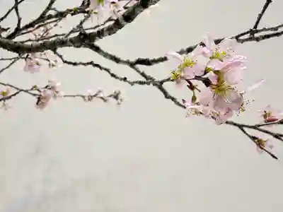 西方山極楽寺(岐阜県)