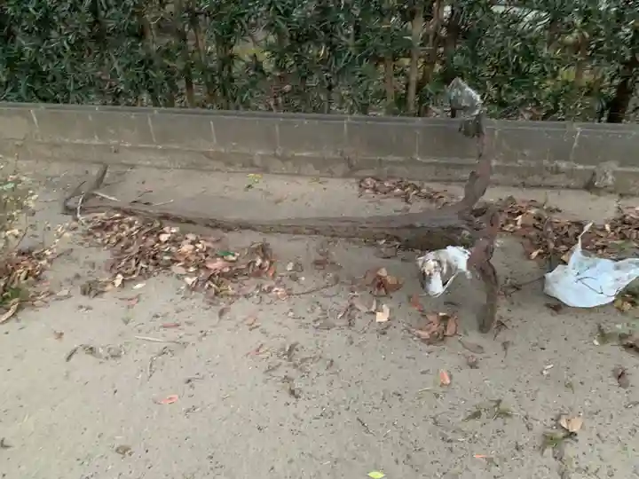 四天木稲生神社(千葉県)