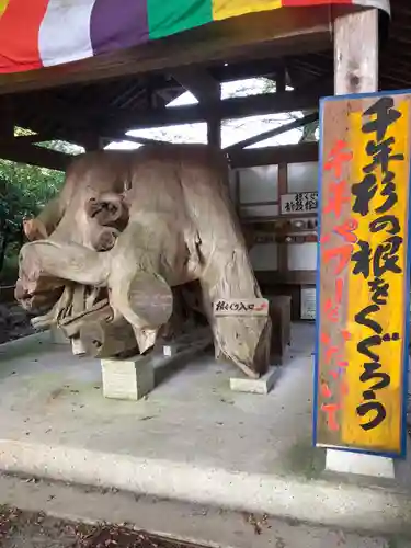 雲八幡宮の建物その他