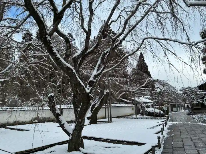 三宝院(三宝院門跡)の{uncategorized: "未分類", other: "その他", undefined: "問題あり", building: "その他建物", grave: "お墓", sacred_gate: "鳥居", guardian: "狛犬", statue: "像", buddha: "仏像", history: "歴史", nature: "自然", garden: "庭園", animal: "動物", pagoda: "塔", temizu: "手水舎", mountain_gate: "山門・神門", sanctuary: "本殿・本堂", subordinate: "末社・摂社", art: "芸術", scenery: "景色", jizo: "地蔵", ema: "絵馬", goshuin: "御朱印", omikuji: "おみくじ", items: "授与品その他", amulet: "お守り", goshuincho: "御朱印帳", eats: "食事", festival: "お祭り", votive_dance: "神楽", shichigosan: "七五三参", wedding: "結婚式", experience: "体験その他", initially: "初詣", around: "周辺", anti_infection: "感染症対策"}