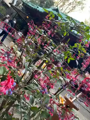 赤坂氷川神社(東京都)