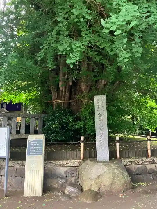 鶴嶺八幡宮(神奈川県)
