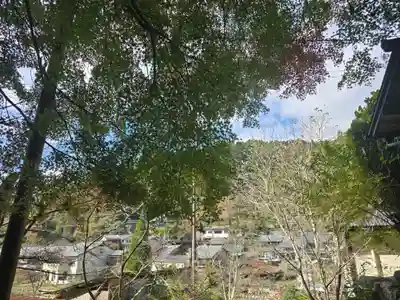 地蔵寺(京都府)