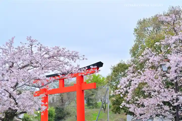富士山本宮浅間大社(静岡県)