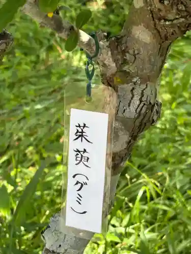 惠心院（恵心院）の{uncategorized: "未分類", other: "その他", undefined: "問題あり", building: "その他建物", grave: "お墓", sacred_gate: "鳥居", guardian: "狛犬", statue: "像", buddha: "仏像", history: "歴史", nature: "自然", garden: "庭園", animal: "動物", pagoda: "塔", temizu: "手水舎", mountain_gate: "山門・神門", sanctuary: "本殿・本堂", subordinate: "末社・摂社", art: "芸術", scenery: "景色", jizo: "地蔵", ema: "絵馬", goshuin: "御朱印", omikuji: "おみくじ", items: "授与品その他", amulet: "お守り", goshuincho: "御朱印帳", eats: "食事", festival: "お祭り", votive_dance: "神楽", shichigosan: "七五三参", wedding: "結婚式", experience: "体験その他", initially: "初詣", around: "周辺", anti_infection: "感染症対策"}