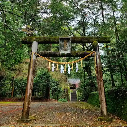 雨櫻神社(静岡県)