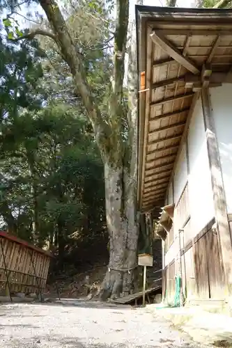 丹生川上神社（下社）のその他建物