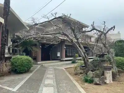 金地院(東京都)