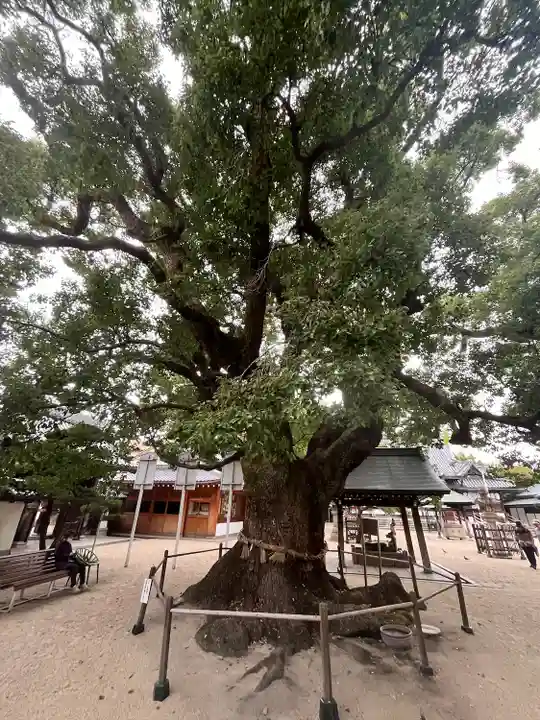 大聖観音寺(あびこ観音)(大阪府)