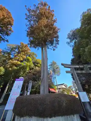 白鷺神社(栃木県)