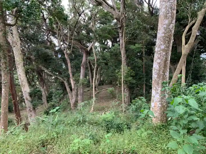 白山神社の周辺
