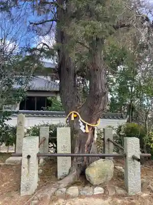 聖天宮 西江寺(大阪府)