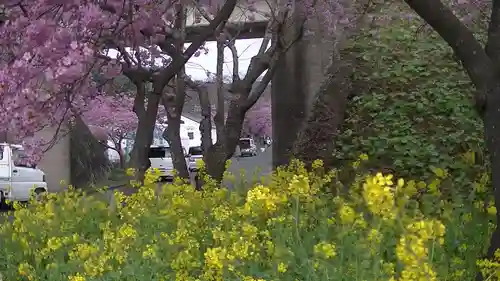 かっぱの寺 栖足寺の自然