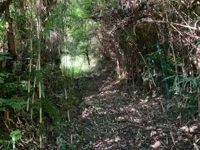 蔵王神社の自然