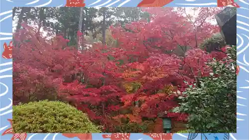 崇禅寺(群馬県)