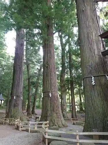 河口浅間神社の建物その他