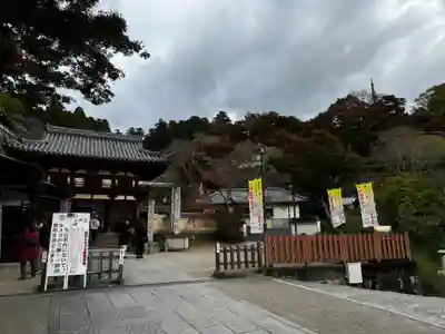 岡寺(龍蓋寺)(奈良県)