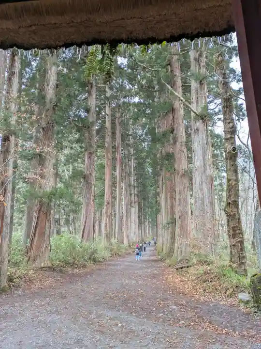 戸隠神社九頭龍社(長野県)