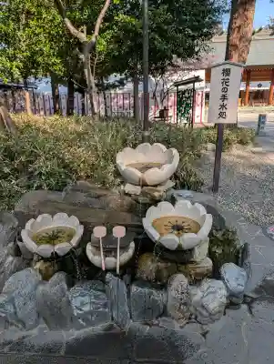 櫻木神社(千葉県)