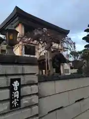 天童寺の自然