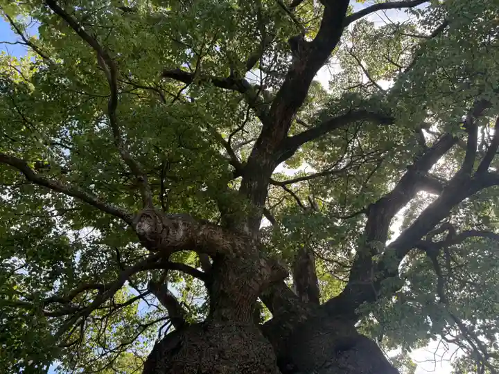 観音寺(愛知県)