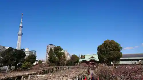 亀戸天神社の景色