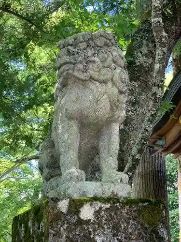 山中諏訪神社の狛犬