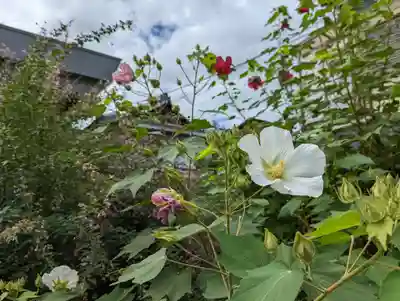 勝念寺（かましきさん）(京都府)