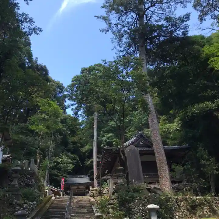 崇道神社の自然