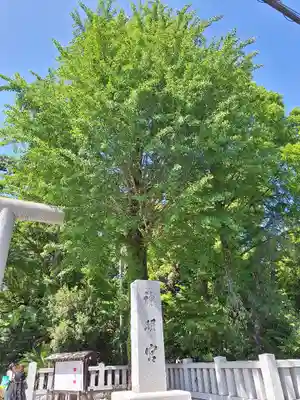 阿佐ヶ谷神明宮(東京都)