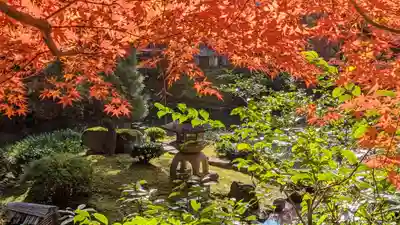 くろ谷 金戒光明寺(京都府)
