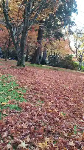 三千院門跡(京都府)