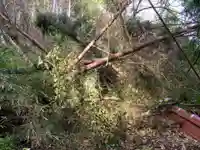 岩室観世音の周辺