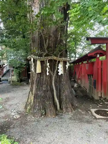 秩父神社の自然