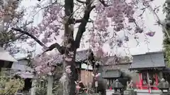 安楽寺天満宮の建物その他