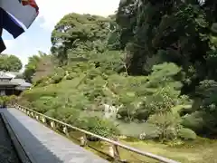 根来寺 智積院の庭園