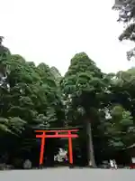 霧島神宮(鹿児島県)