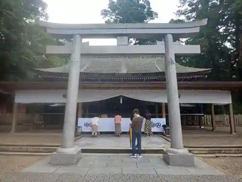 鹿島神宮の鳥居